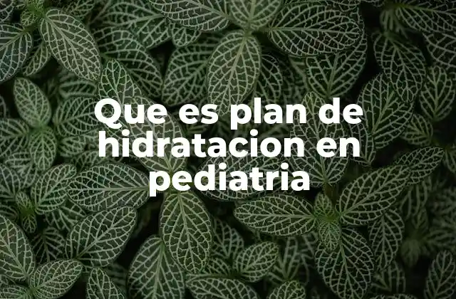 Que es Plan de Hidratacion en Pediatria 2 La importancia de los líquidos en el desarrollo infantil