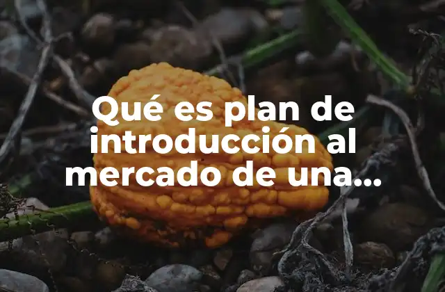 Qué es Plan de Introducción Al Mercado de una Empresa