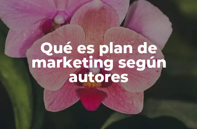 Qué es Plan de Marketing según Autores
