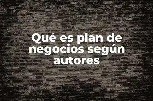 Qué es Plan de Negocios según Autores