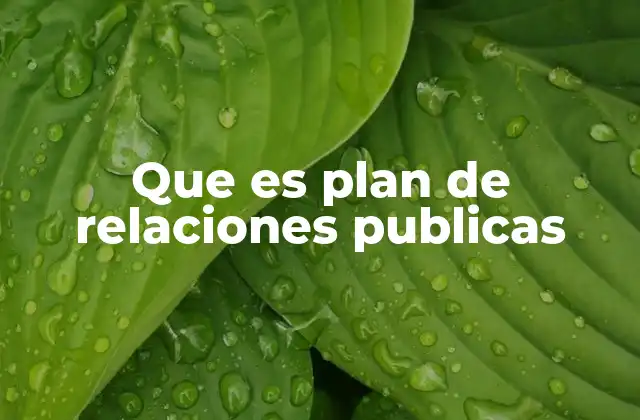 Que es Plan de Relaciones Publicas