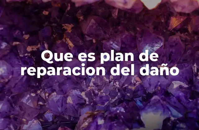 Que es Plan de Reparacion Del Daño