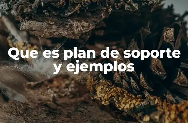 Que es Plan de Soporte y Ejemplos
