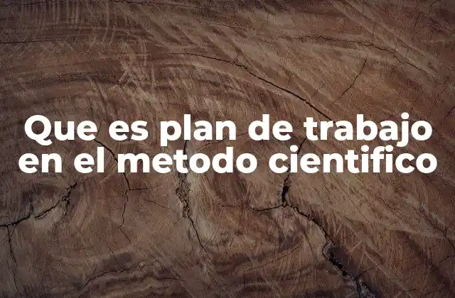 Que es Plan de Trabajo en el Metodo Cientifico