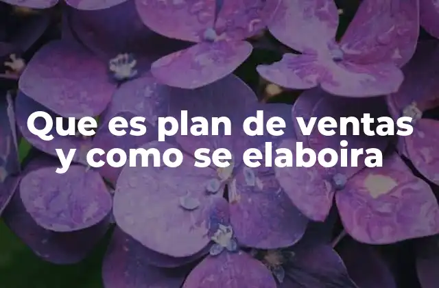 Que es Plan de Ventas y como Se Elaboira
