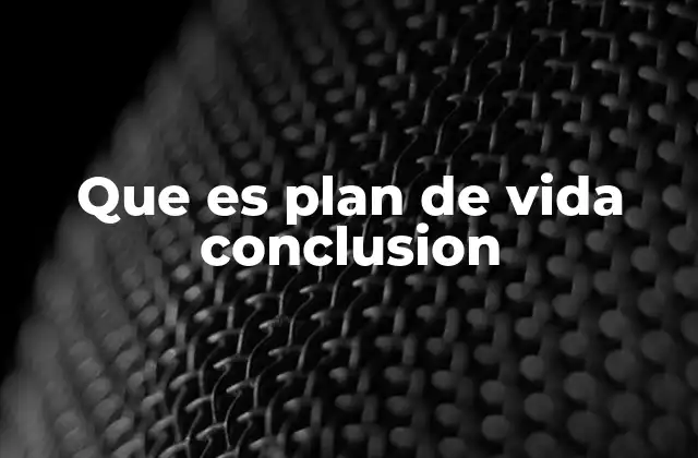 Que es Plan de Vida Conclusion