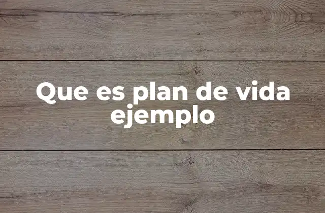 Que es Plan de Vida Ejemplo