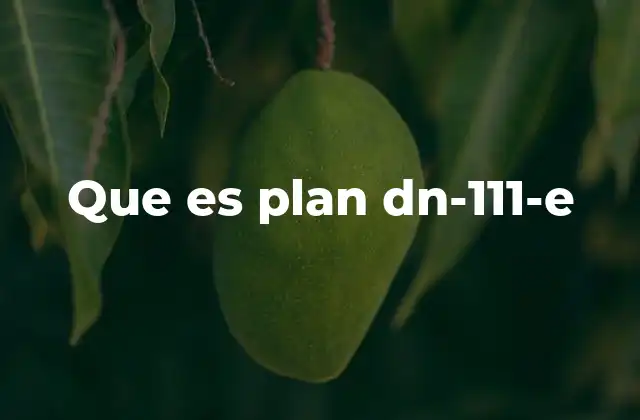 Que es Plan Dn-111-e 2 El rol del Plan DN-111-E en la seguridad nacional