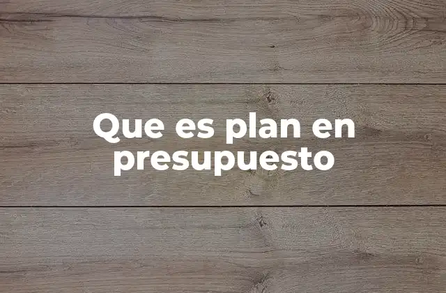 Que es Plan en Presupuesto