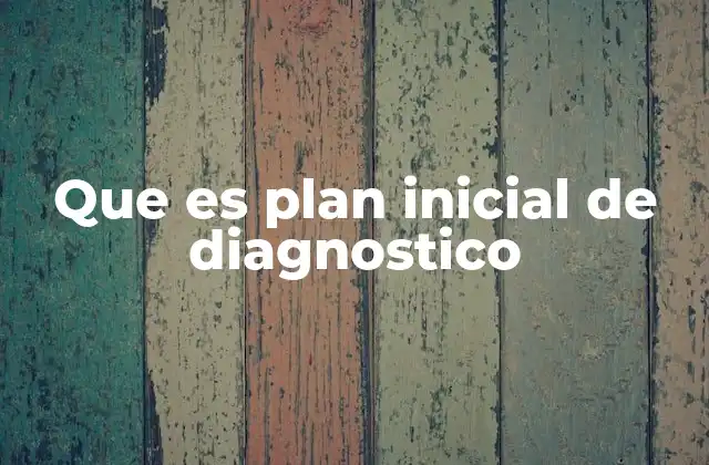Que es Plan Inicial de Diagnostico