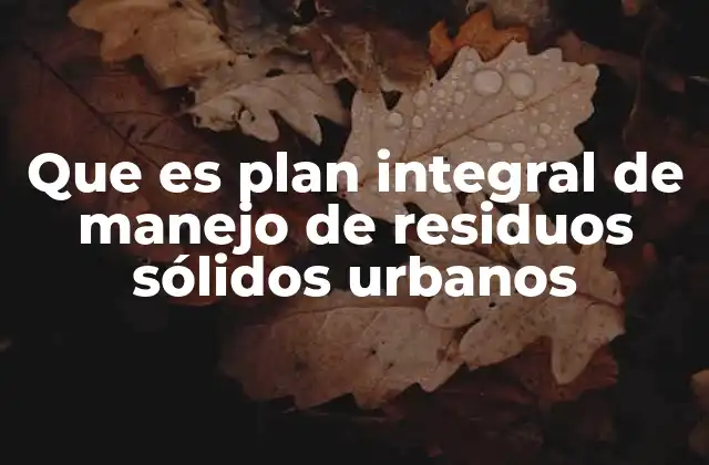Estrategias para un manejo eficiente de los residuos urbanos