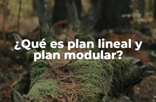 ¿qué es Plan Lineal y Plan Modular?