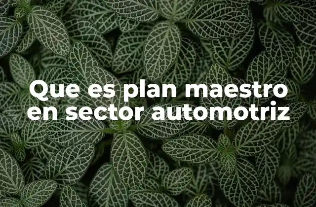 Que es Plan Maestro en Sector Automotriz