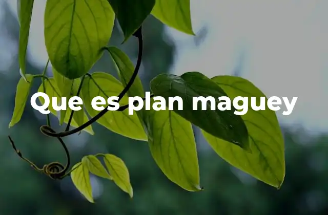 El papel del maguey en la economía rural mexicana