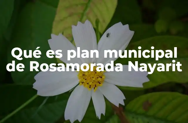Qué es Plan Municipal de Rosamorada Nayarit