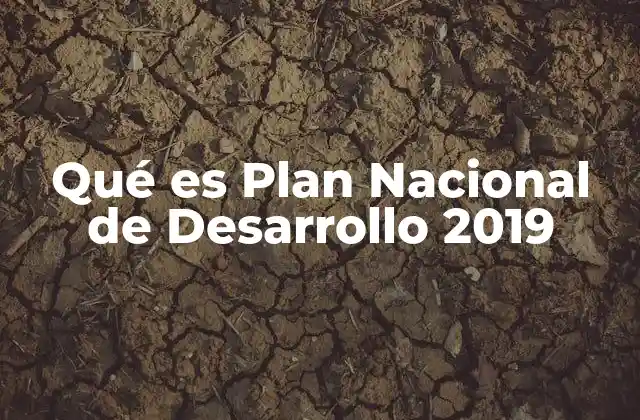 Qué es Plan Nacional de Desarrollo 2019 2 La visión estratégica detrás del Plan Nacional de Desarrollo 2019