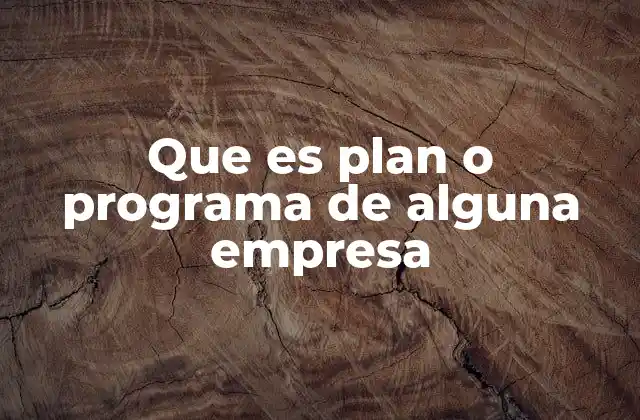 Que es Plan o Programa de Alguna Empresa