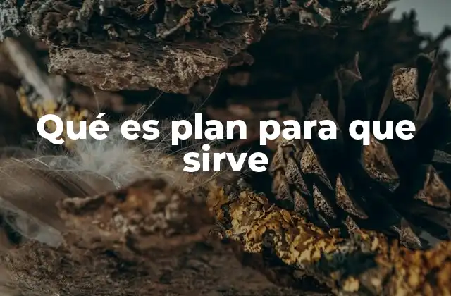 Qué es Plan para que Sirve