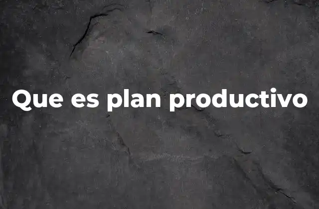 Que es Plan Productivo