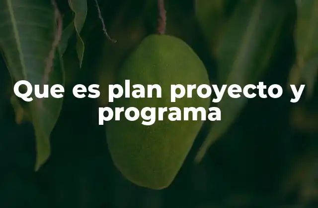 Que es Plan Proyecto y Programa