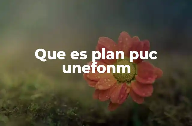 Que es Plan Puc Unefonm
