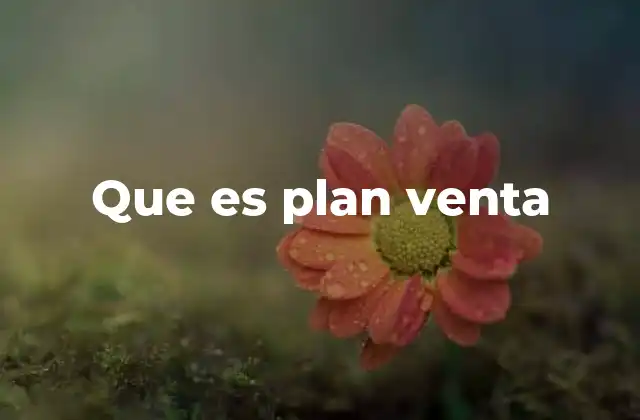 Que es Plan Venta