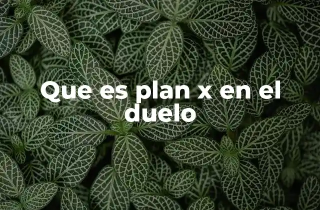 Que es Plan X en el Duelo