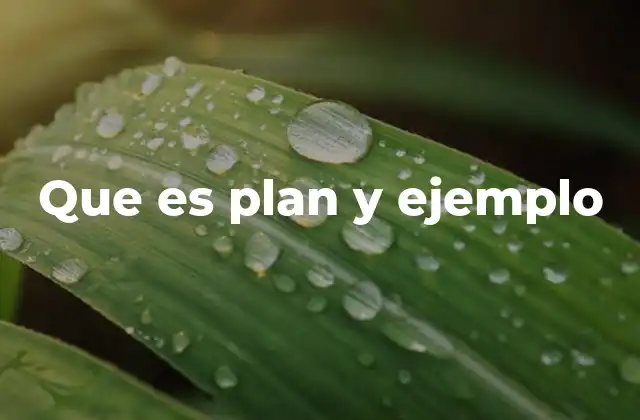 Que es Plan y Ejemplo