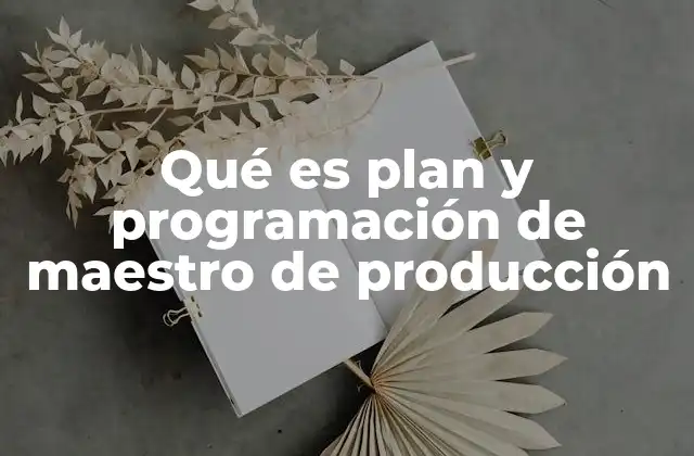 Qué es Plan y Programación de Maestro de Producción