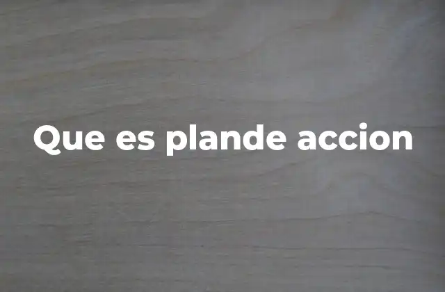 Que es Plande Accion