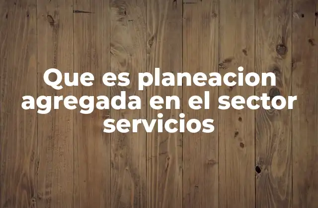 Que es Planeacion Agregada en el Sector Servicios