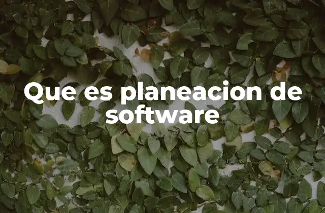 Que es Planeacion de Software