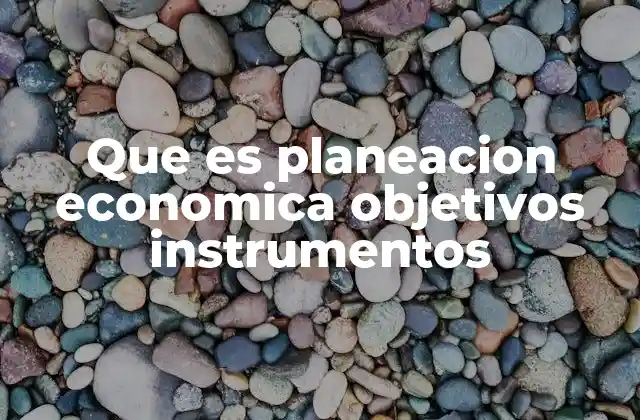 Que es Planeacion Economica Objetivos Instrumentos