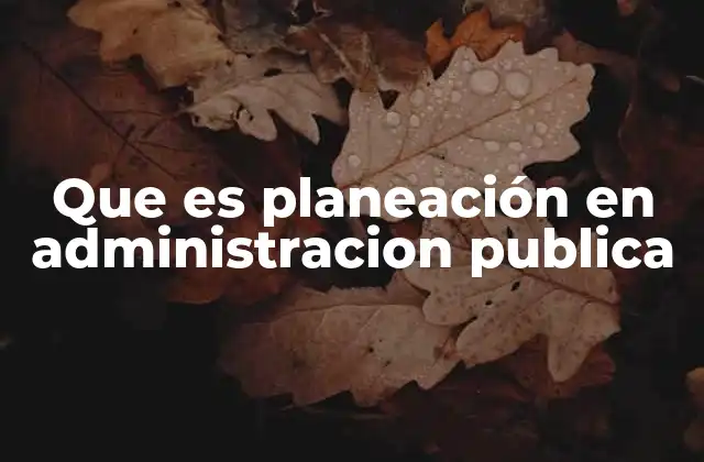 Que es Planeación en Administracion Publica
