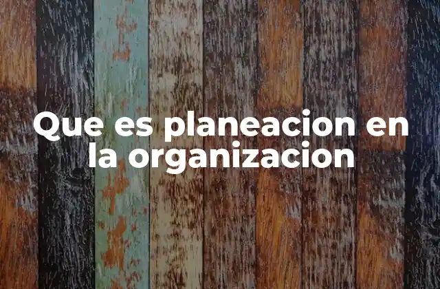 Que es Planeacion en la Organizacion