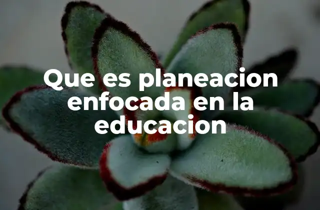 Que es Planeacion Enfocada en la Educacion