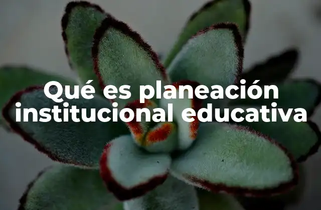 Qué es Planeación Institucional Educativa