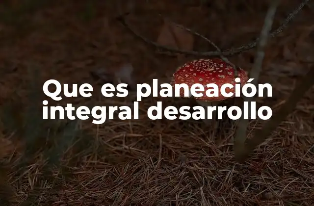 Que es Planeación Integral Desarrollo
