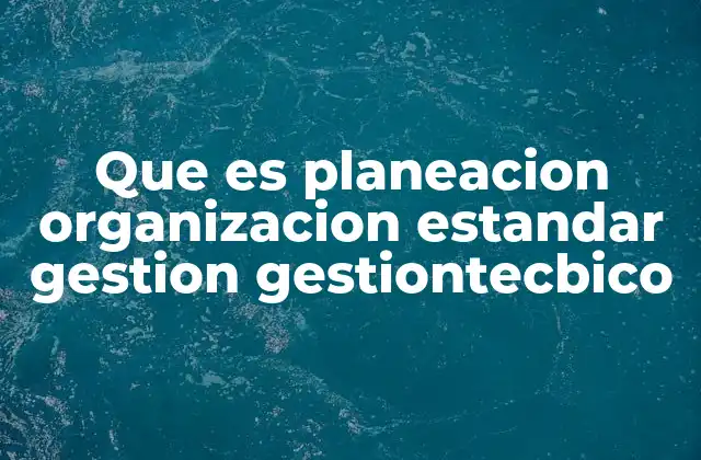 Que es Planeacion Organizacion Estandar Gestion Gestiontecbico