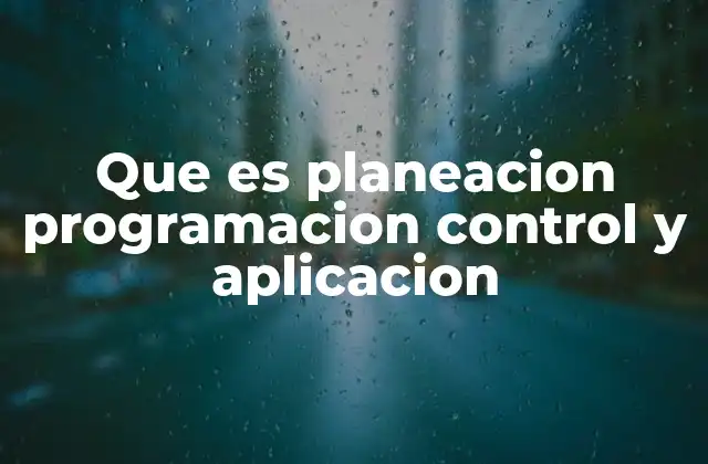 Que es Planeacion Programacion Control y Aplicacion