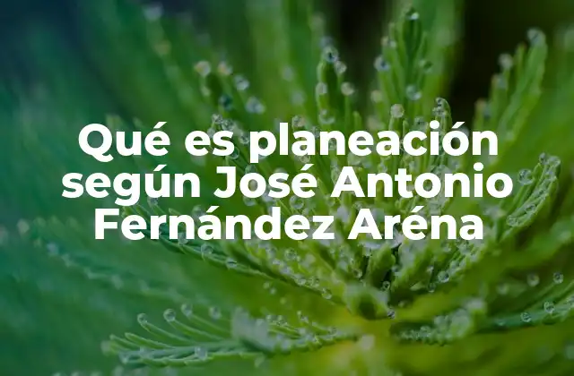 Qué es Planeación según José Antonio Fernández Aréna
