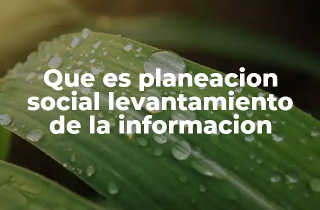 Que es Planeacion Social Levantamiento de la Informacion
