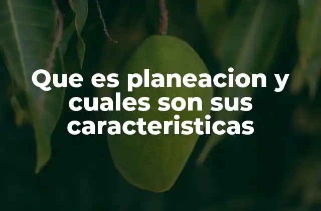 La importancia de estructurar una ruta clara para alcanzar objetivos