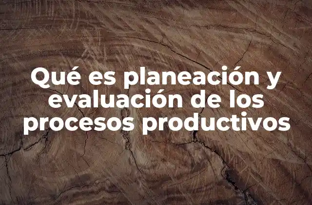 Qué es Planeación y Evaluación de los Procesos Productivos