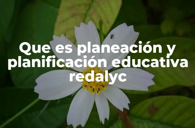 Que es Planeación y Planificación Educativa Redalyc
