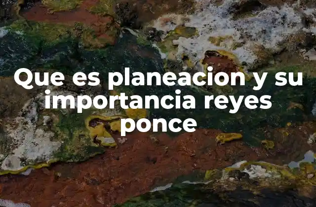 Que es Planeacion y Su Importancia Reyes Ponce 2 La base de una organización exitosa