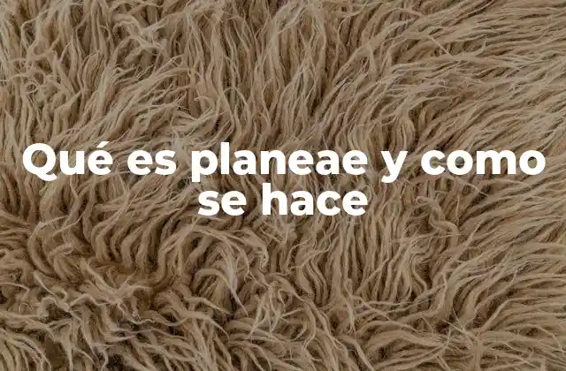Qué es Planeae y como Se Hace