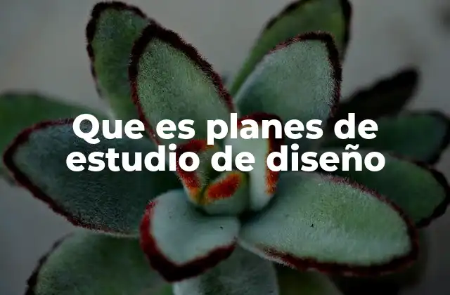 Que es Planes de Estudio de Diseño