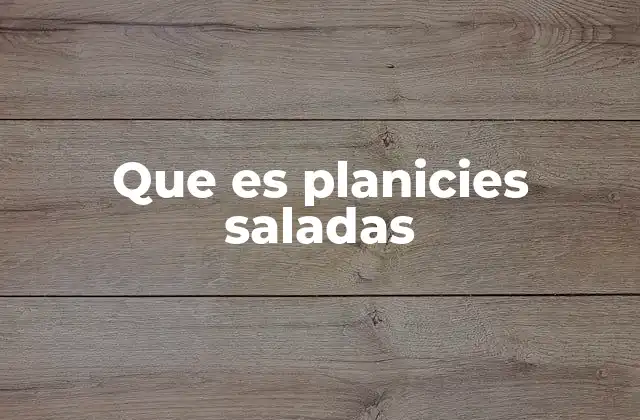 Que es Planicies Saladas