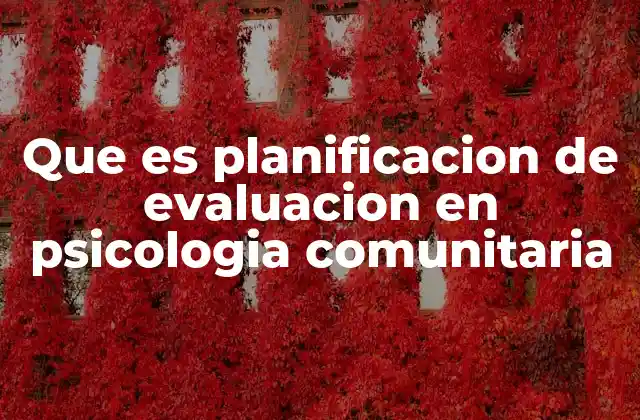 Que es Planificacion de Evaluacion en Psicologia Comunitaria